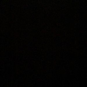 Meet your Posher, Moni